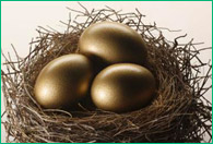 retirement savings nest