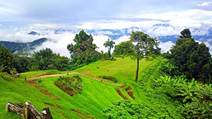 Chiang Mai Thailand